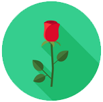 خاتون شیرحلال