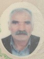 نوروز فرهادی